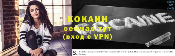 мет Заводоуковск