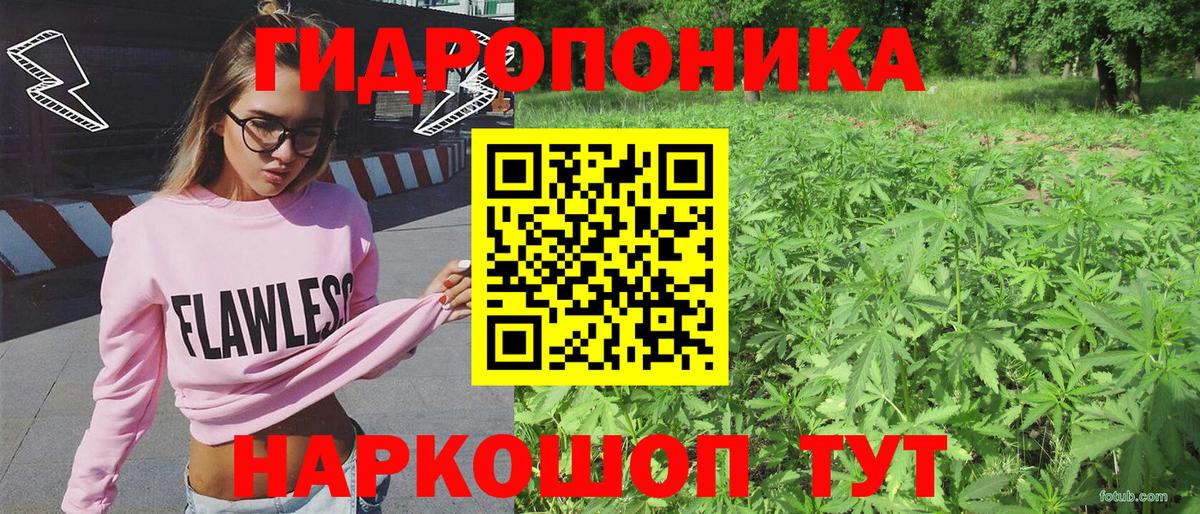 Бошки марихуана индика  Вход с VPN  Каннабис SATIVA & INDICA  Шишки марихуана сатива  Новый Уренгой 